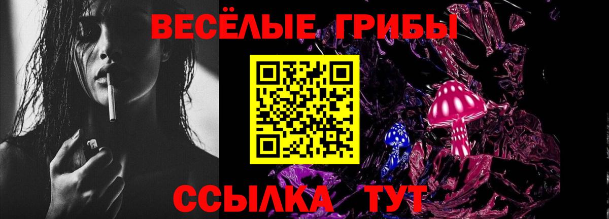 Псилоцибиновые грибы мицелий Ртищево