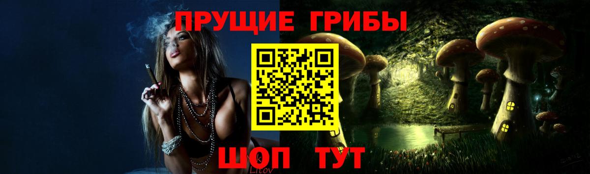 Ртищево  где можно купить наркотик  Вход с VPN  Галлюциногенные грибы MAGIC MUSHROOMS 